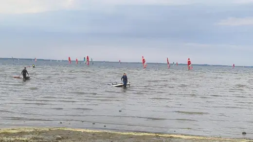 Windsurferzy na płytkiej wodzie przy brzegu